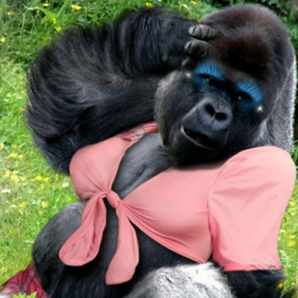 Not selling anything at this time.